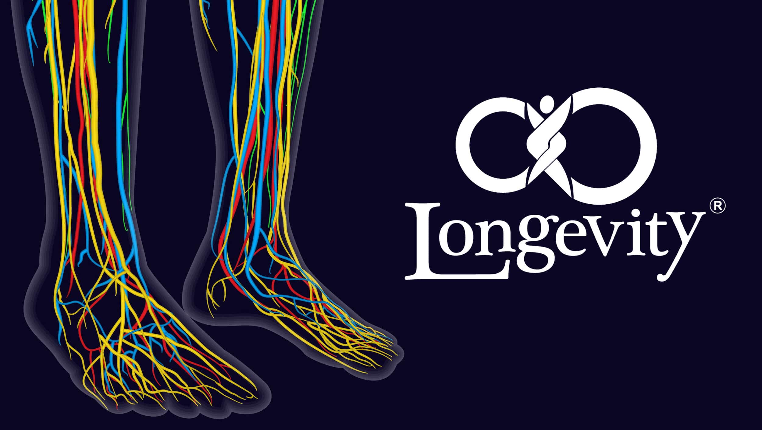 A Guide to Understanding Neuropathy